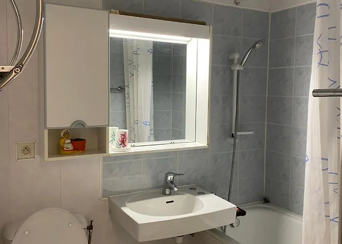 Vue Sur Les Pistes La Pierre Saint Martin